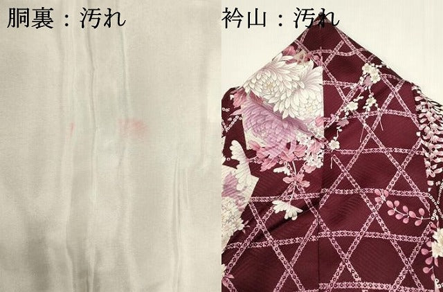 平和屋着物■上質な小紋 藤花房 枝梅 金彩 正絹 逸品 DABI0542cd