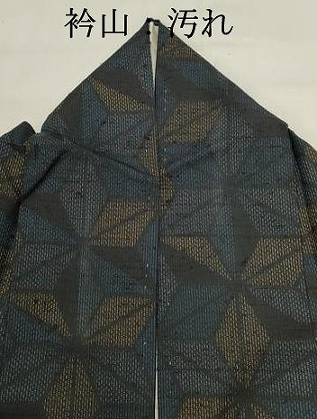 平和屋着物■上質な紬 麻の葉文様 正絹 逸品 DABI0738cd