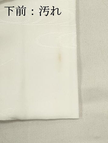平和屋着物■長襦袢 無双仕立て 流水枝梅地紋 洗える着物 DABI0745cd