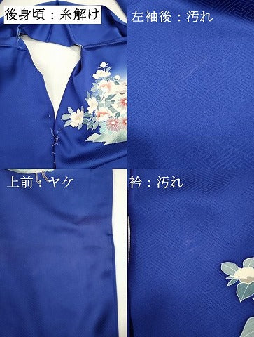 平和屋着物■訪問着 草花文 暈し染め 仮絵羽 逸品 未使用 DABI0752cd