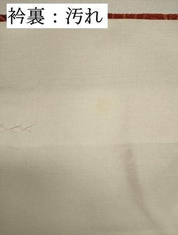平和屋着物■上質な小紋 流水花文 鬼しぼ縮緬 正絹 逸品 DABI0764cd