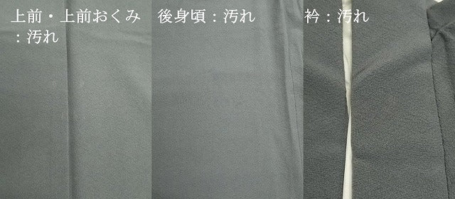 平和屋着物■上質な色無地 鉛色 正絹 逸品 DABI0791cd