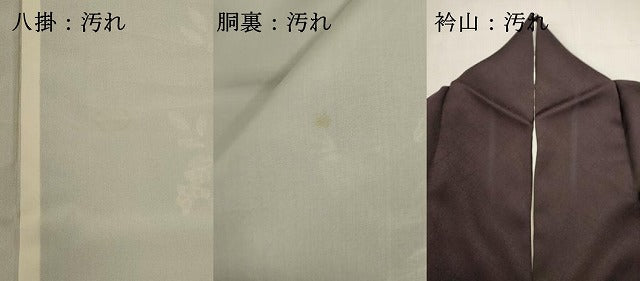 平和屋着物■訪問着 刺繍 葡萄文 金彩 正絹 逸品 DABI0796cd