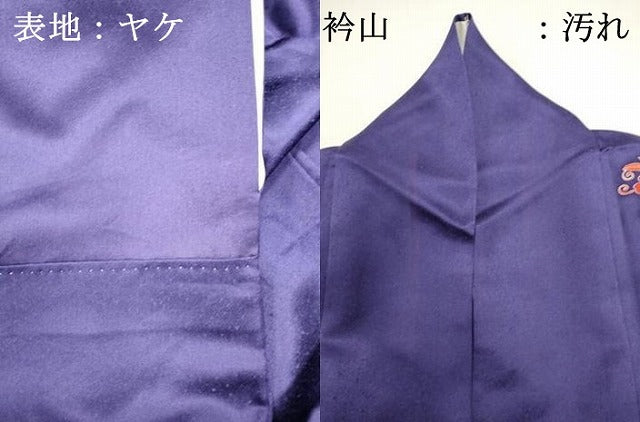 平和屋着物■豪華振袖 駒刺繍 御所車花文 金彩 正絹 逸品 DABI0798cd