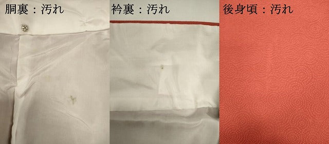 平和屋着物■上質な色無地 丸地紋 赤丹色 正絹 逸品 DABI0914cd