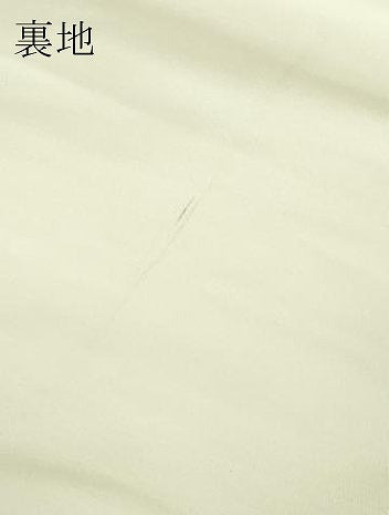 平和屋本店▼六通柄袋帯 唐織 九百錦 名庭孔雀花文 純金箔 正絹 逸品 DABI1434sf
