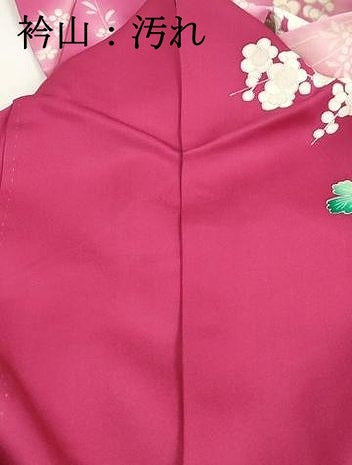 平和屋着物■豪華振袖 牡丹枝梅文 暈し染め 銀彩 正絹 逸品 DABI1670qa