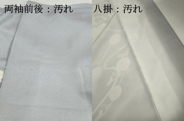 平和屋着物■訪問着 刺繍 花文箱文 銀彩 正絹 逸品 DABI1905qa