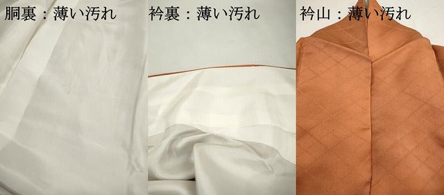 平和屋着物■上質な小紋 霞格子文 暈し染め 正絹 逸品 DABI1976qa