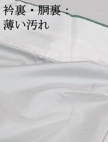 平和屋着物■色無地 霞地紋 若竹色 洗える着物 DABI1992qa