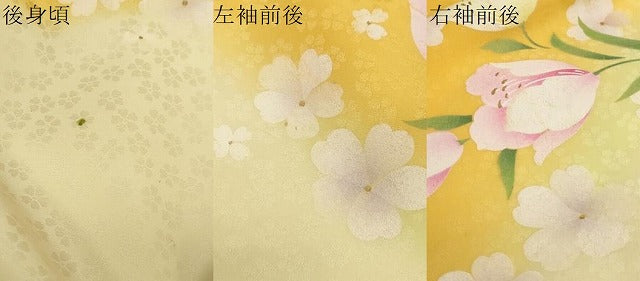 平和屋着物●小振袖 二尺袖 舞花文 金彩 洗える着物 DABI2029ud