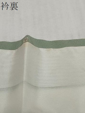 平和屋着物●上質な色無地 夏虫色 正絹 逸品 DABI2186ud