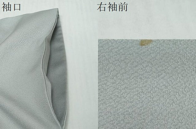 平和屋着物●訪問着 流水風景草花文 暈し染め 金彩 正絹 逸品 DABI2506ud