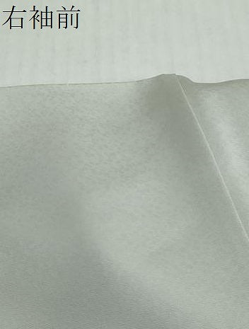 平和屋着物●訪問着 草花文 金銀彩 正絹 逸品 未使用 DABI2683ud