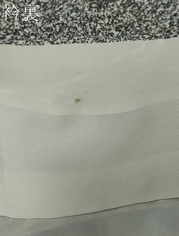 平和屋着物●訪問着 草花文 たたき染め 黒地 金彩 正絹 逸品 DABI2690ud