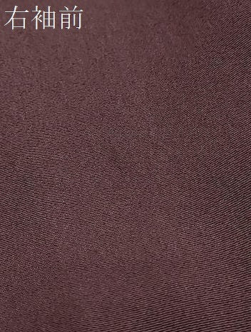 平和屋着物●訪問着 南天文 金彩 正絹 逸品 DABI2991ud