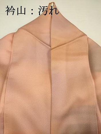 平和屋着物■訪問着 枝花文 暈し染め 金彩 正絹 逸品 DABI3562ya