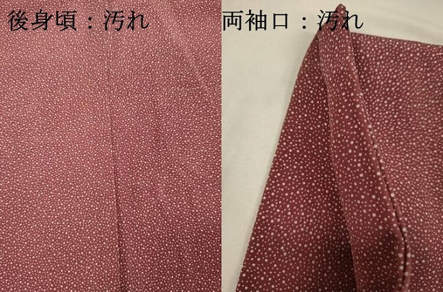 平和屋着物■江戸小紋 訪問着 霞文 大小あられ 暈し染め 正絹 逸品 DABI3630ya