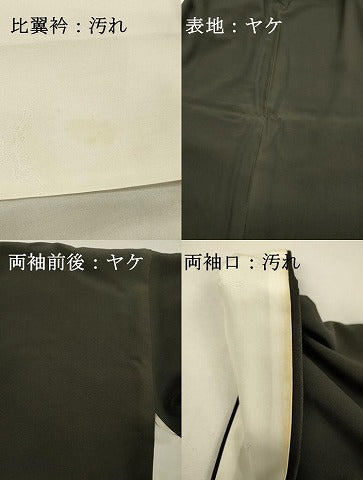 平和屋着物■豪華黒留袖 友禅 作家物 花鳥文 枝梅 暈し染め 正絹 逸品 DABI3835ya