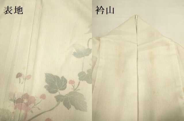 平和屋着物▽訪問着 無双 紗袷 紗×縦絽 枝花文 正絹 逸品 DABI4123du