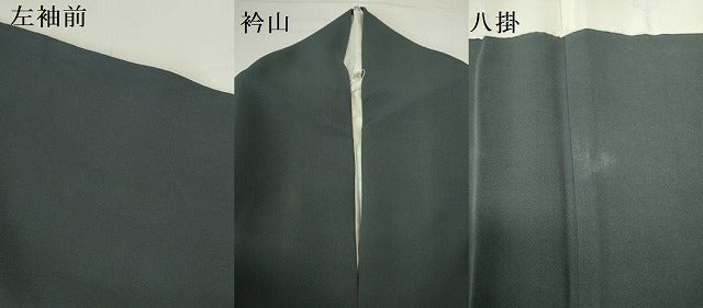 平和屋着物▼豪華色留袖 寿光織 花鳥唐草文 暈し染め 金糸 正絹 逸品 DABI5562op