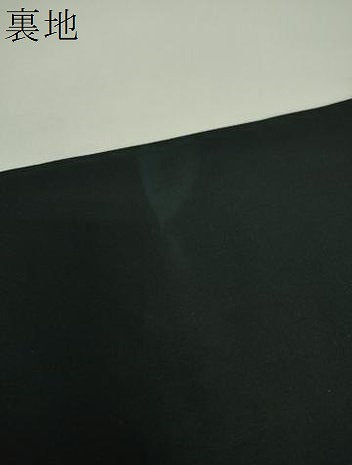 平和屋着物▼六通柄袋帯 唐織 唐花華文 黒地 金糸 正絹 逸品 DABI6263ps