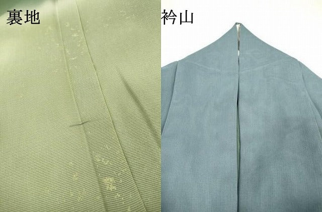 平和屋着物▽訪問着 無双 紗袷 紗×紗 霞文 暈し染 金彩 正絹 逸品 DABI7287fe