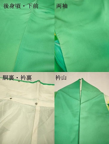 平和屋着物▼訪問着 手描き 草花 暈し染 正絹 逸品 DABI7342fe