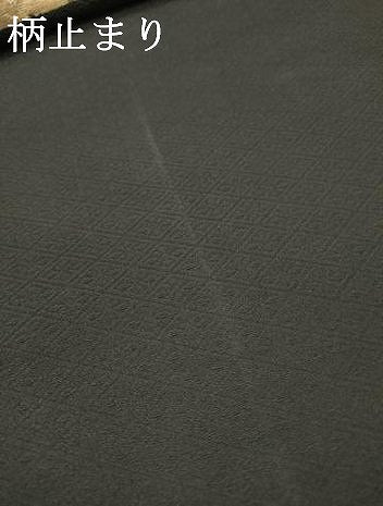 平和屋本店▼六通柄袋帯 風景文 黒地 純金箔 正絹 逸品 DABI7728fe