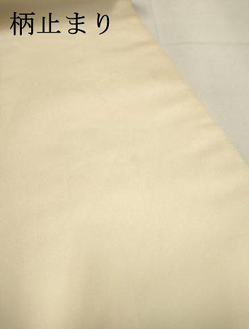 平和屋着物▼六通柄袋帯 唐織 春陽瑞花紋 金銀糸 正絹 逸品 DABI7894fe