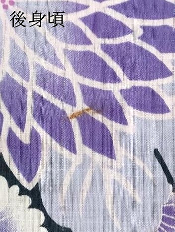 平和屋着物∴夏物 浴衣 菊尽くし 綿 逸品 DABI8832cd