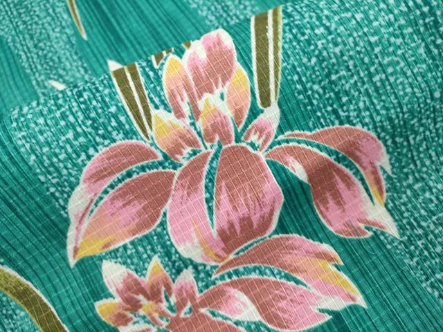 平和屋着物∴夏物 綿紅梅 浴衣 草花文 杜若 カキツバタ 綿 逸品 DABI8889cd