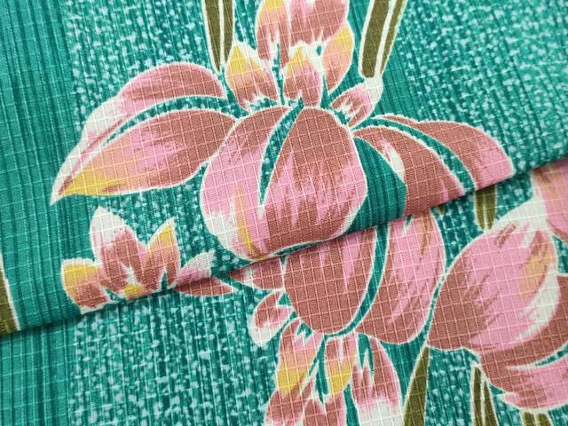 平和屋着物∴夏物 綿紅梅 浴衣 草花文 杜若 カキツバタ 綿 逸品 DABI8889cd