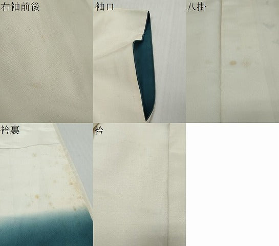 平和屋着物●訪問着 白山紬 友禅 作家物 枝花文 正絹 逸品 DABI9055ud