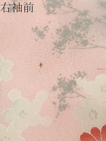 平和屋着物●訪問着 草花文 暈し染め 正絹 逸品 DABI9140ud