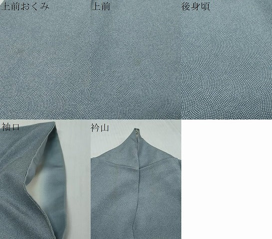 平和屋着物●江戸小紋師 星野教治 江戸小紋 鮫小紋柄 正絹 逸品 DABI9194ud