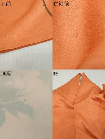 平和屋着物●訪問着 手描き 枝花文 正絹 逸品 DABI9254ud