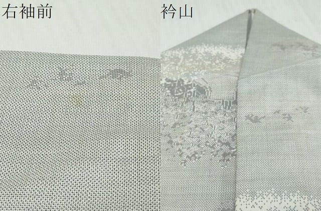 平和屋着物●本場大島紬 白大島 9マルキ 風景文 さが美扱い 証紙 証明書付き 恵大島紬織物謹製 正絹 逸品 DABI9299ud