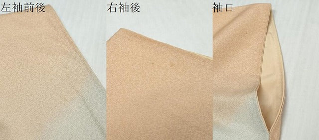 平和屋着物●訪問着 花鳥文 暈し染め 金彩 正絹 逸品 DABI9342ud