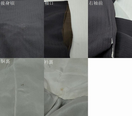 平和屋着物●訪問着 雪輪花文 金彩 正絹 逸品 DABI9461ud