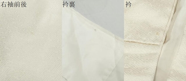 平和屋着物●訪問着 花唐草文 金彩 正絹 逸品 DABI9590ud