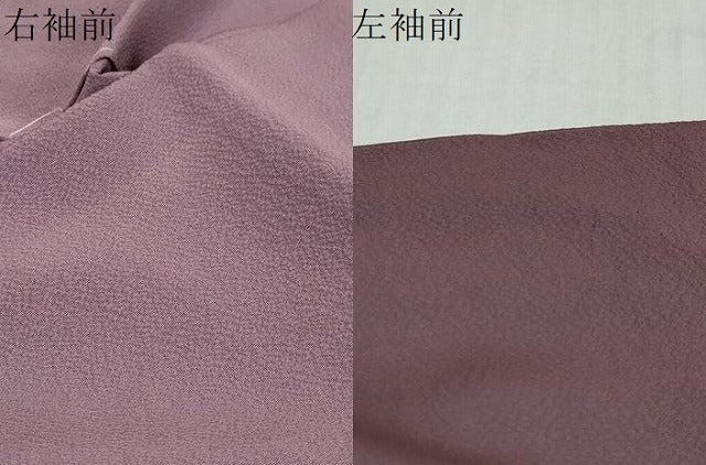 平和屋着物●訪問着 草花文 金銀彩 正絹 逸品 未使用 DABI9601ud