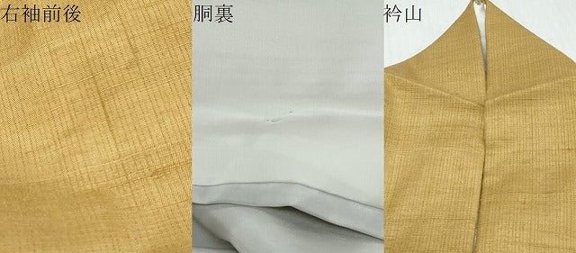 平和屋着物●訪問着 作家物 紬地 手描き 枝花文 正絹 逸品 DABI9905ud