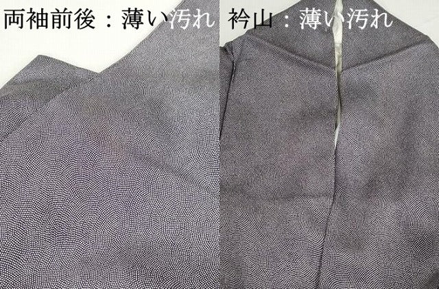 平和屋着物■江戸小紋 鮫小紋柄 正絹 逸品 DABJ0004qa
