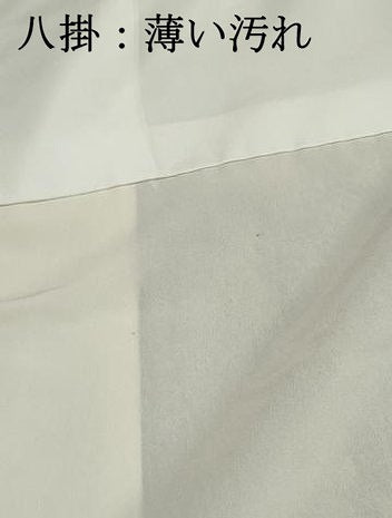 平和屋着物■上質な小紋 花間道 枝梅 鬼しぼ縮緬 正絹 逸品 DABJ0023qa