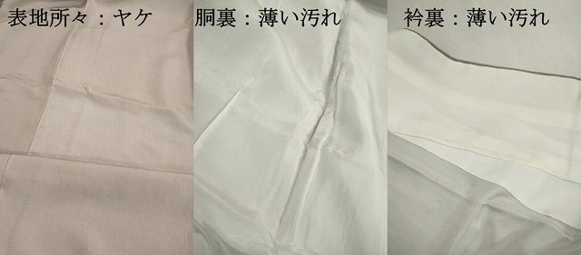平和屋着物■上質な色無地 牡丹鼠色 正絹 逸品 DABJ0028qa