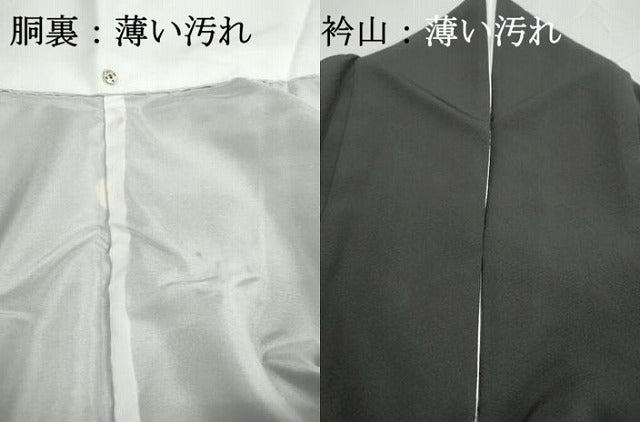 平和屋着物■豪華黒留袖 手描き 風景樹林文 暈し染め 正絹 逸品 DABJ0055qa
