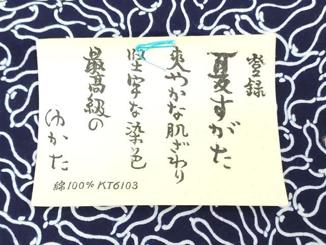 平和屋着物*夏物 浴衣 反物 着尺 注染 瓢箪 綿 逸品 未使用 DABJ0796zy