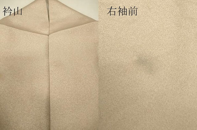 平和屋着物▽訪問着 単衣 刺繍 枝花文 暈し染め 金銀彩 正絹 逸品 DABJ1372az