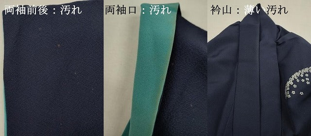 平和屋着物■男性 訪問着 刺繍 舞花文 金彩 正絹 逸品 DABJ2793ya